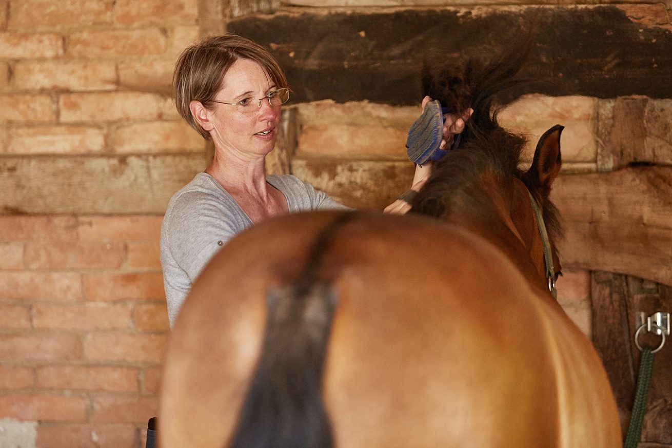 Reiten als Kunst - barockes Reiten mit Monika Opladen; klassisches Reiten, Reitunterricht