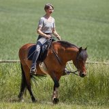 Reiten als Kunst - barockes Reiten mit Monika Opladen; klassisches Reiten, Reitunterricht