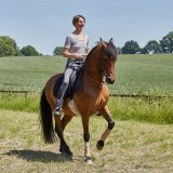 Reiten als Kunst - barockes Reiten mit Monika Opladen; klassisches Reiten, Reitunterricht