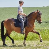 Reiten als Kunst - barockes Reiten mit Monika Opladen; klassisches Reiten, Reitunterricht
