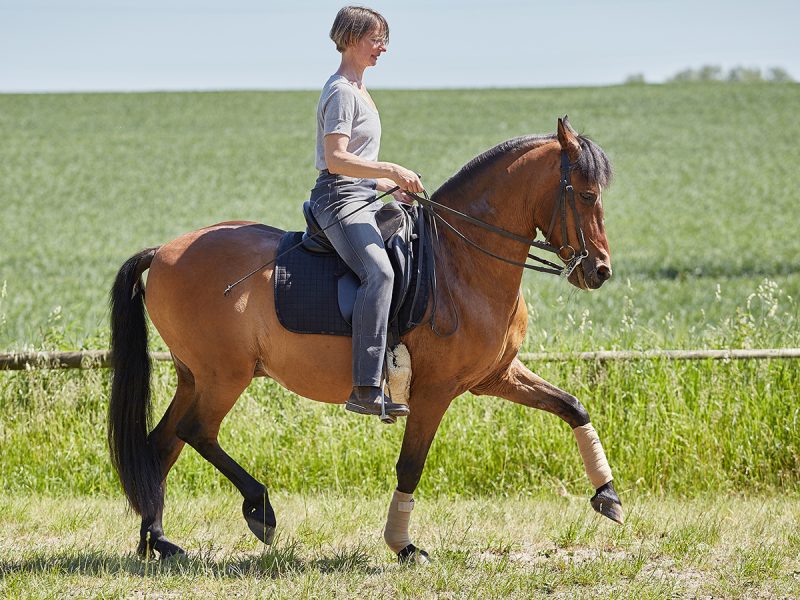Reiten als Kunst - barockes Reiten mit Monika Opladen; klassisches Reiten, Reitunterricht