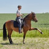 Reiten als Kunst - barockes Reiten mit Monika Opladen; klassisches Reiten, Reitunterricht