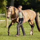 Reiten als Kunst - barockes Reiten mit Monika Opladen; klassisches Reiten, Reitunterricht