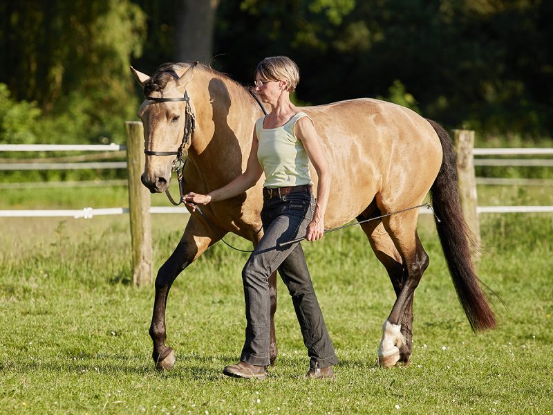 Reiten als Kunst - barockes Reiten mit Monika Opladen; klassisches Reiten, Reitunterricht