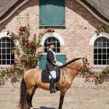 Reiten als Kunst - barockes Reiten mit Monika Opladen; klassisches Reiten, Reitunterricht