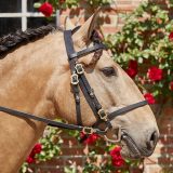 Reiten als Kunst - barockes Reiten mit Monika Opladen; klassisches Reiten, Reitunterricht