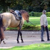 Reiten als Kunst - barockes Reiten mit Monika Opladen; klassisches Reiten, Reitunterricht