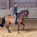Reiten als Kunst - barockes Reiten mit Monika Opladen; klassisches Reiten, Reitunterricht