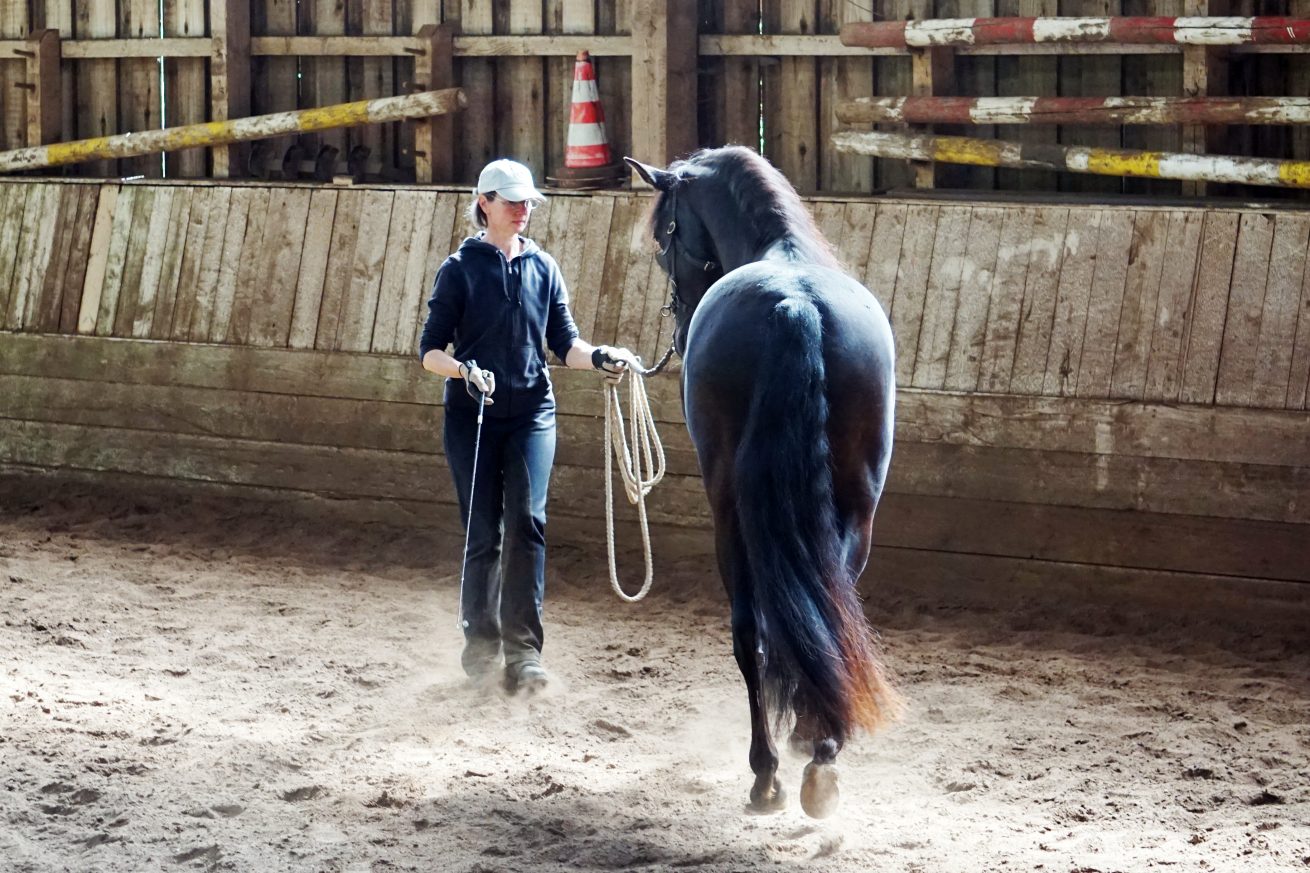 Reiten_als_Kunst_Monika_Opladen_klassisches_Reiten_Reitunterricht_DSC02439