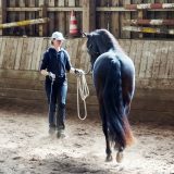 Reiten_als_Kunst_Monika_Opladen_klassisches_Reiten_Reitunterricht_DSC02439