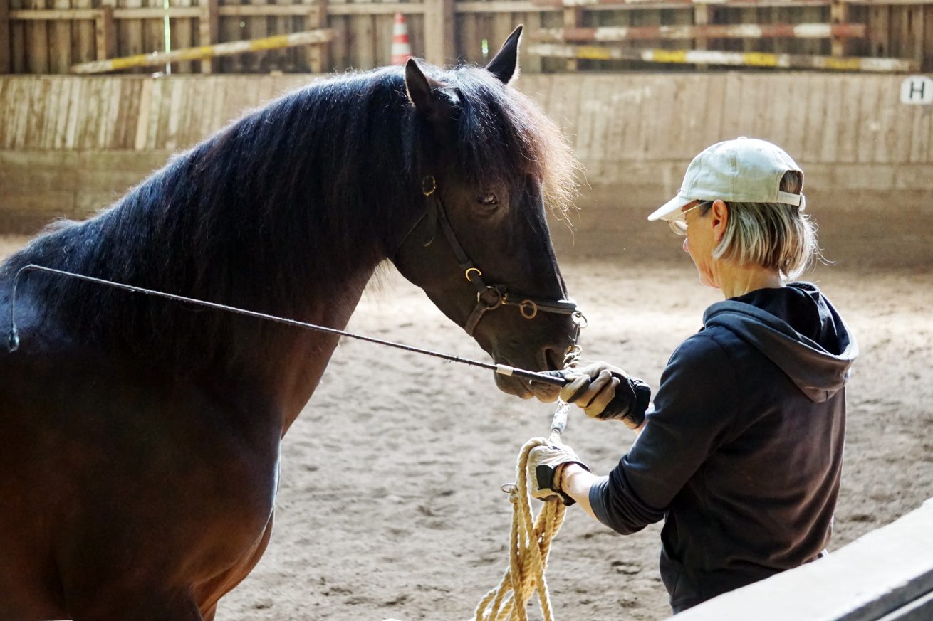 Reiten_als_Kunst_Monika_Opladen_klassisches_Reiten_Reitunterricht_DSC02457