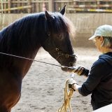 Reiten_als_Kunst_Monika_Opladen_klassisches_Reiten_Reitunterricht_DSC02457