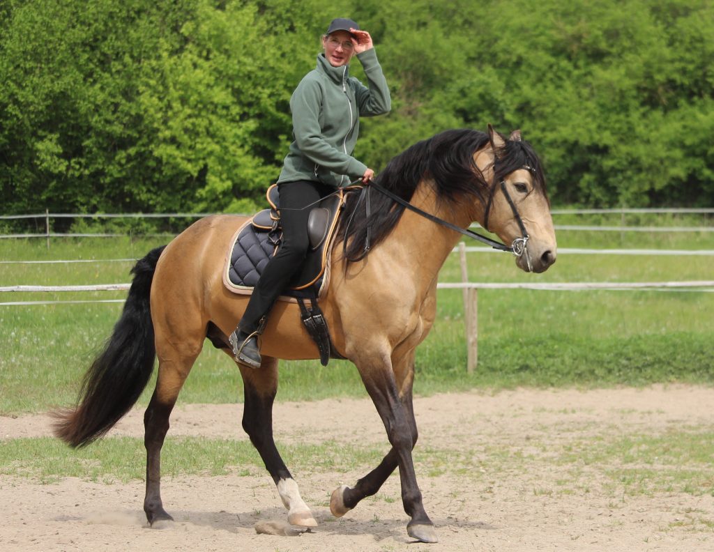 Reiten als Kunst, Klassische Reitkunst, Reitunterricht, Reiten, Reitlehrer, Reitschule, Klassische Ausbildung für Pferde, Spanische Reitweise, Pferdeausbildung, Beritt, Schulpferd, Reitseminare, Klassisch-barocke Reitweise