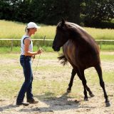 Reiten_als_Kunst_Monika_Opladen_klassisches_Reiten_Reitunterricht_0676