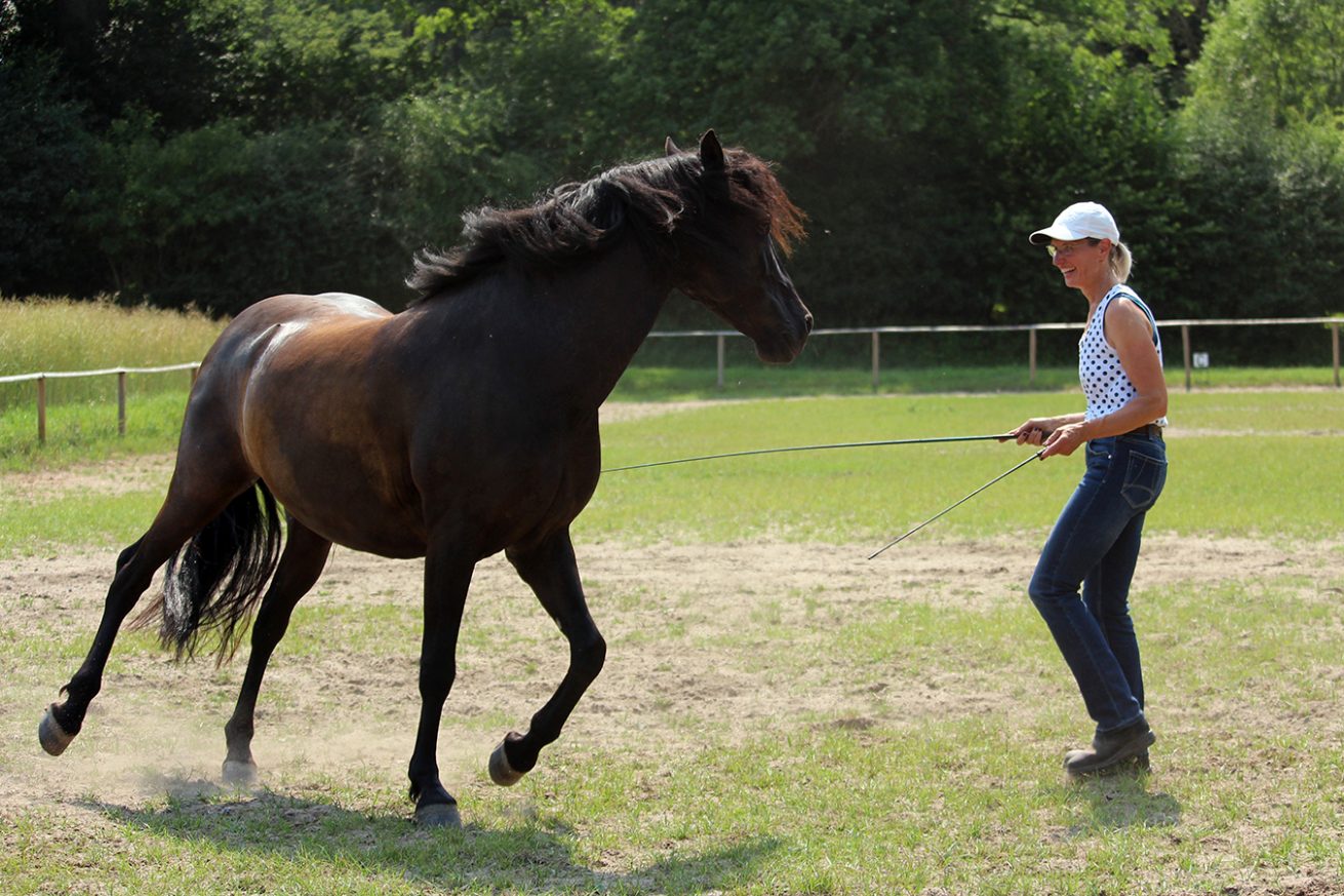 Reiten_als_Kunst_Monika_Opladen_klassisches_Reiten_Reitunterricht_0700