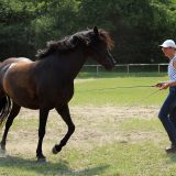 Reiten_als_Kunst_Monika_Opladen_klassisches_Reiten_Reitunterricht_0700