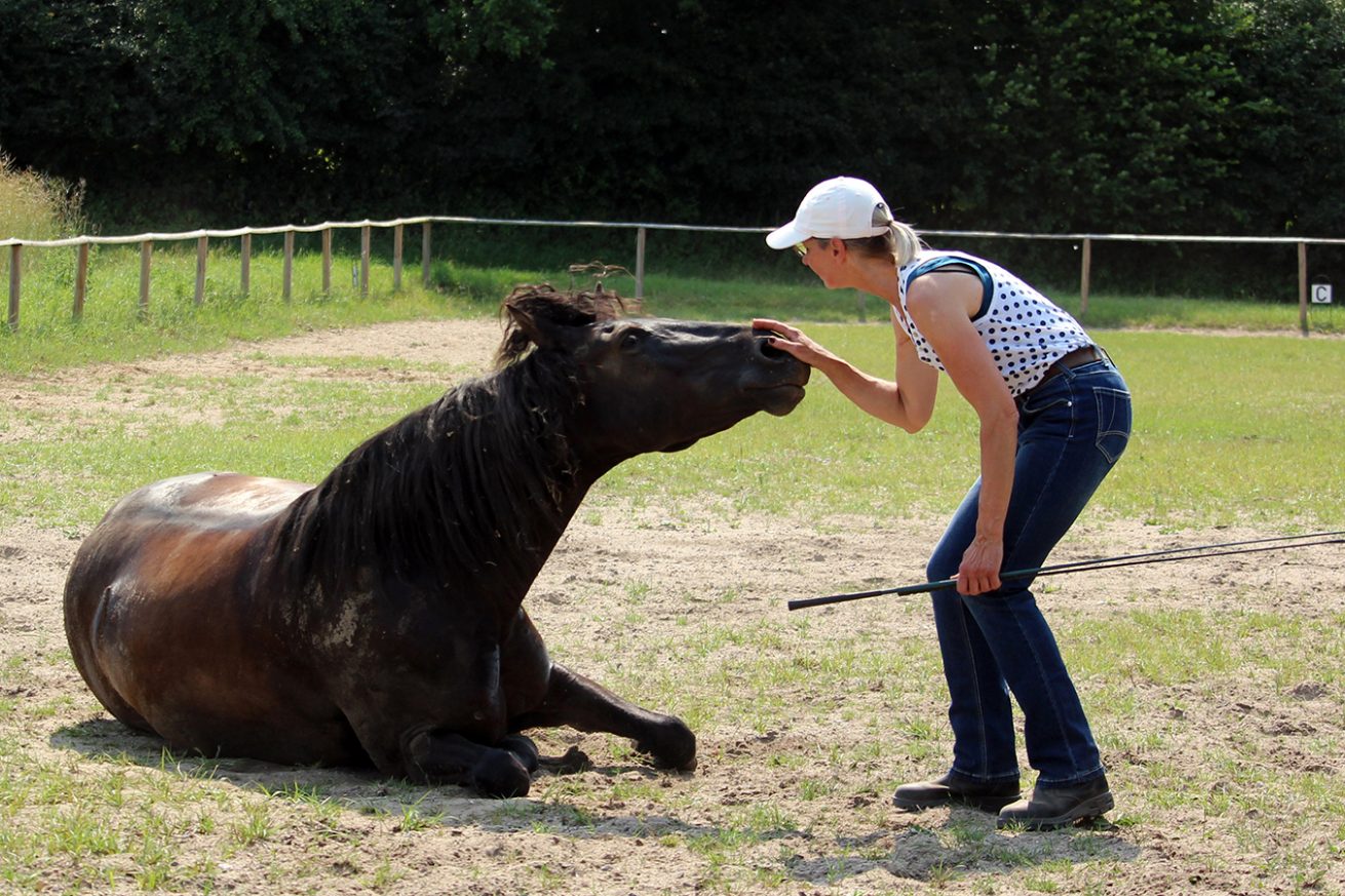 Reiten_als_Kunst_Monika_Opladen_klassisches_Reiten_Reitunterricht_0823