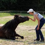 Reiten_als_Kunst_Monika_Opladen_klassisches_Reiten_Reitunterricht_0823