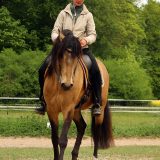 Reiten_als_Kunst_Monika_Opladen_klassisches_Reiten_Reitunterricht_7505