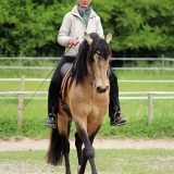 Reiten_als_Kunst_Monika_Opladen_klassisches_Reiten_Reitunterricht_7619