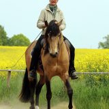 Reiten_als_Kunst_Monika_Opladen_klassisches_Reiten_Reitunterricht_7692