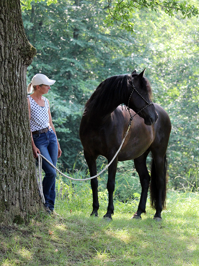 Reiten als Kunst, Klassische Reitkunst, Reitunterricht, Reiten, Reitlehrer, Reitschule, Klassische Ausbildung für Pferde, Spanische Reitweise, Pferdeausbildung, Beritt, Schulpferd, Reitseminare, Klassisch-barocke Reitweise