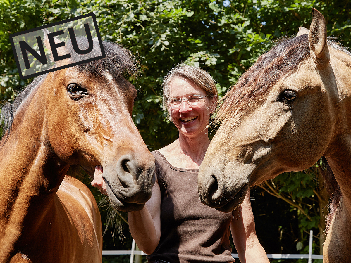 Reiten als Kunst, Klassische Reitkunst, Reitunterricht, Reiten, Reitlehrer, Reitschule, Klassische Ausbildung für Pferde, Spanische Reitweise, Pferdeausbildung, Beritt, Schulpferd, Reitseminare, Klassisch-barocke Reitweise